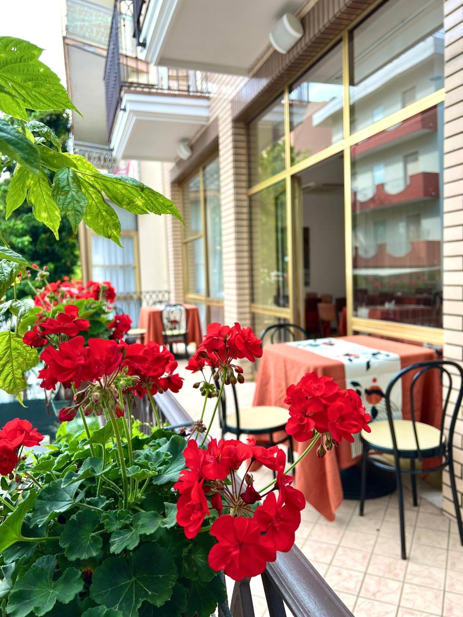 Hotel B&B Ardea Rimini Exterior photo